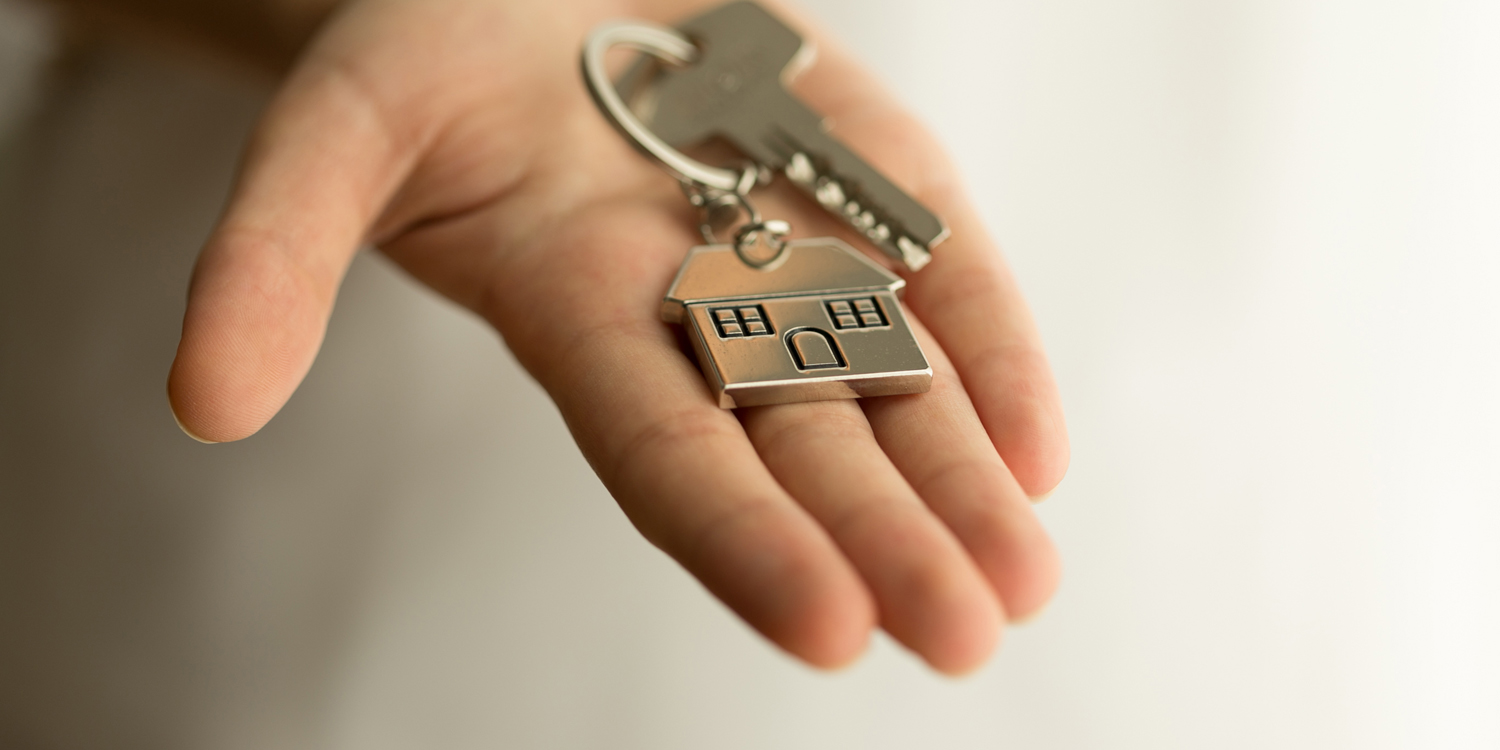 Newcastle will lawyer